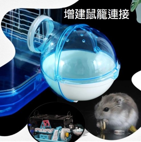 倉鼠用品推薦