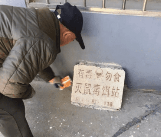 滅鼠專家費用 滅鼠專家費用